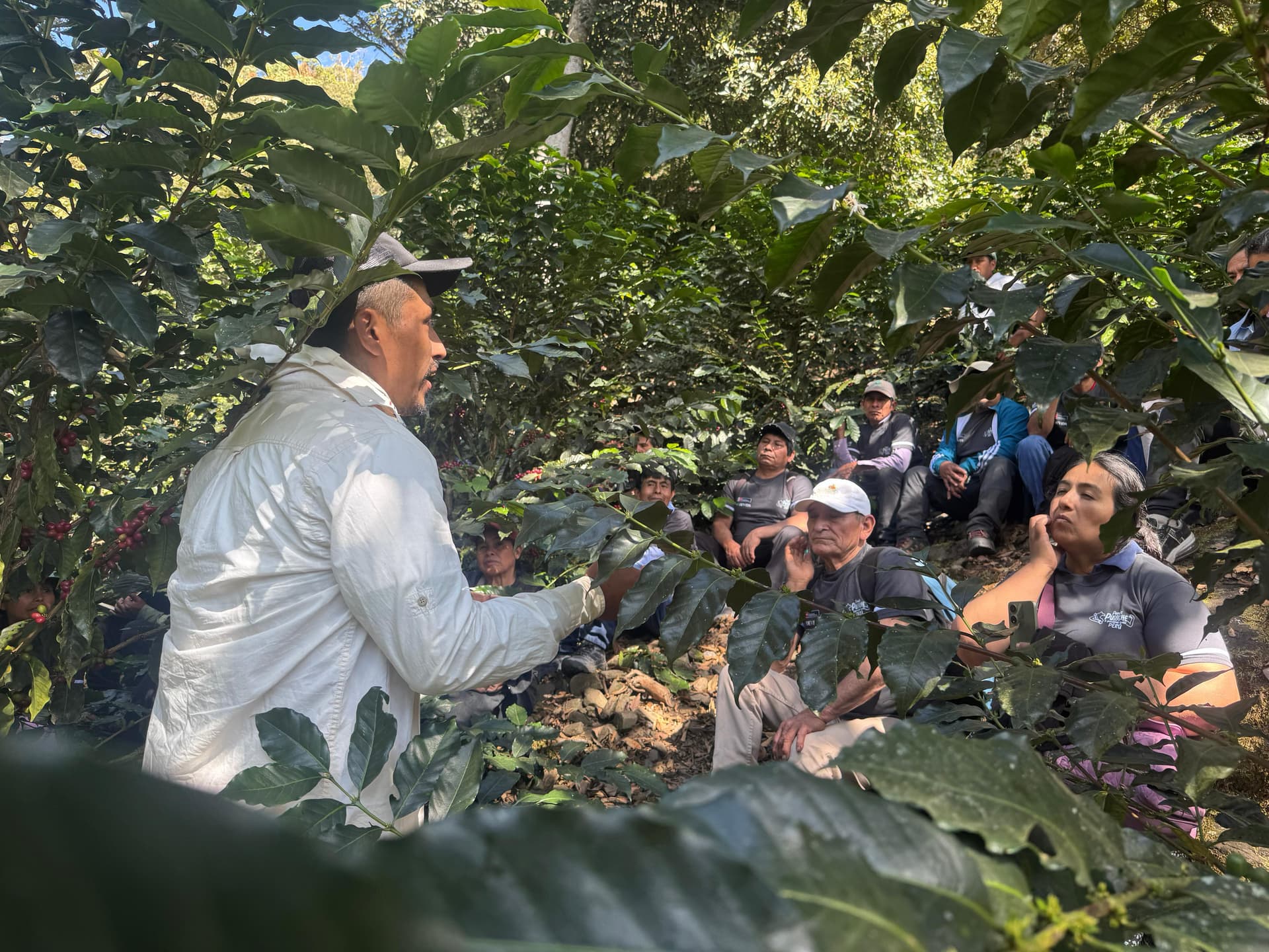 Productor con granos de café